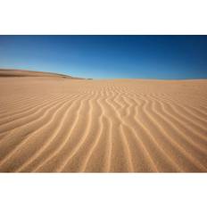 Dunes Wrapped Canvas Photograph 20cm H x 30cm W