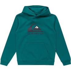 Turkis Hoodies Børnetøj Quiksilver Big Logo Hoodie Youth - Green