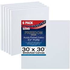 White Canvas U.S. Art Supply Stretched Canvas 30 x 30 inch 6-Pack