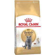 Royal canin cat food Royal Canin British Shorthair Adult 10kg