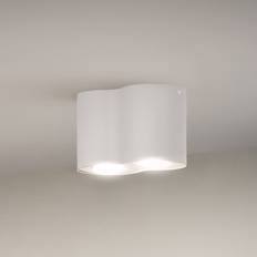 Philips White Ambiance Pillar Spot 2 Spots Dimmer Spotlight