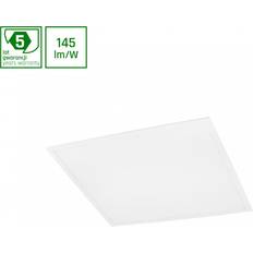 Spectrum LED Panel 60 x 60 cm Kallvit 600 x 60 cm Takplafond