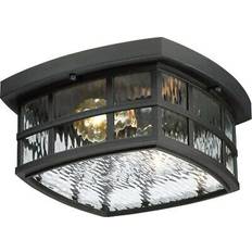 2 Medium Outdoor Mount Ceiling Flush Light