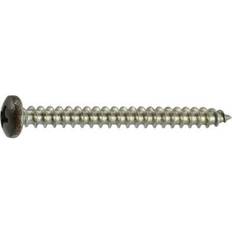 Brown Fasteners Painted 18-8 Stainless Steel Phillips Sheet Metal Screw 10 x 2 in