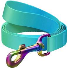 Gradient Nylon Dog Leash 15 mm 122 cm Blue