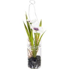 Glass Artificial Plants BigBuy Home Decorative 7 x 7 x 18 cm Artificial Plant