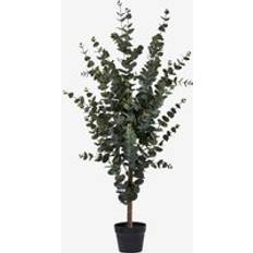 Kunstige planter House Nordic Eukalyptustre H:120 cm Grønn Kunstig plante