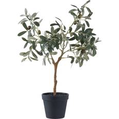 Tre Kunstige planter House Nordic Kunstigt Oliventræ Grøn H 61 cm Kunstig plante