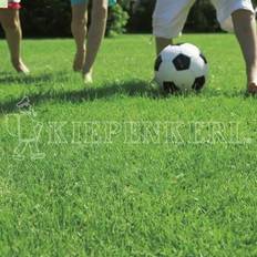 Grass Seeds Kiepenkerl RSM 2.3 Gebrauchsrasen Poa Supina