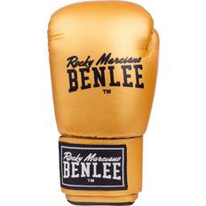 Benlee Rodney Boxhandschuhe 14 oz