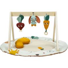 Babygym Luxe Garden of Adventure