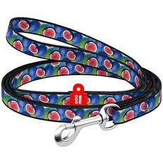 Nylon Dog Leash