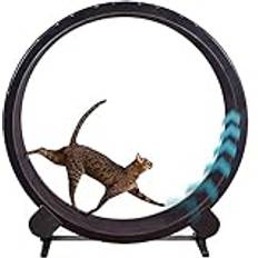 SKIHOT Cat Wheel Treapmill För Inomhus