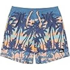 Quiksilver Kid's Everyday Straight Volley Boardshorts - Blue