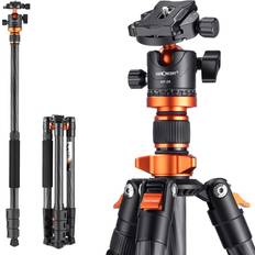 D254C1+BH-28L