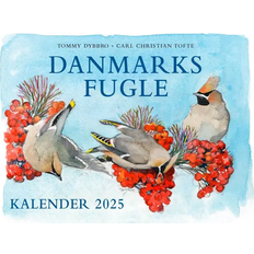 Politikens Forlag 2025 Denmark's Birds Calendar