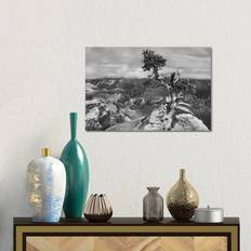 Union Rustic South Rim Of Grand Canyon Canvas 30.48cm H x 45.72cm W x 1.91cm D Framed Art