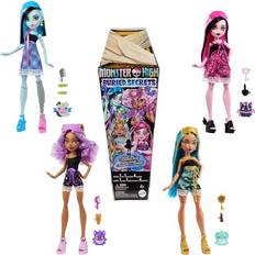 Monster High Leksak HYV64
