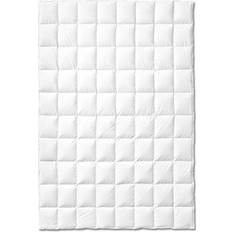 Decken Sleepwell Comfort 155x220 cm Daunendecke