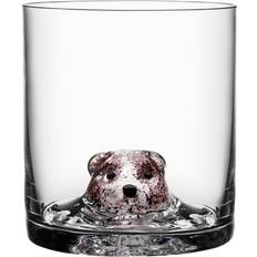 Bicchieri saldi Kosta Boda Vaso New Friends Tumbler 46cl