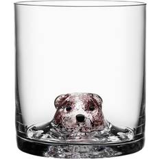 Vaso New Friends