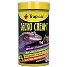 Tropical Gecko Cream Fig 100 ml 50G