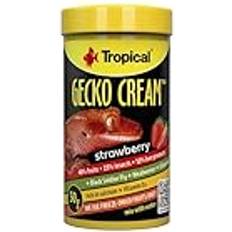 Tropical Gecko Cream Strawberry 100 ml 50G