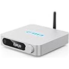 Lecteurs multimédia Fiio Lecteur Réseau Audio SR11 Silver