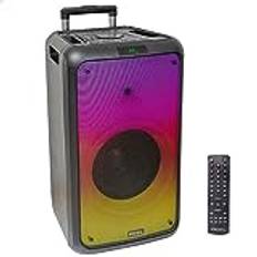Ibiza 600W Batteridrivet Högtalarsystem