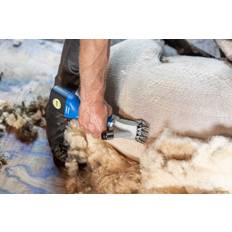 Pets Kerbl Aesculap Akkuschermaschine für Schafe Econom NOVA CL GT684