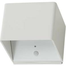 10036899 White