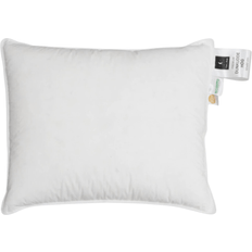 Låg Dunkuddar Care of Beds Premium Dunkudde (60x50cm)
