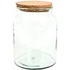 Half Open Terrarium Bottle Small Clear
