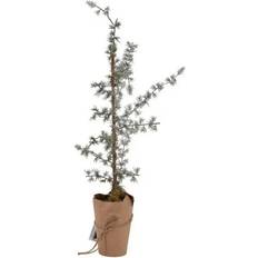 La Vida Kunstigt Cedertræ med LED 56 x 31 cm Kunstig plante