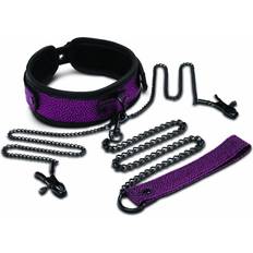 Whipsmart Leash & Nipple Clips Set