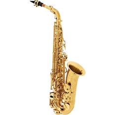 Yanagisawa AWO10 Alto Saxophone Brass