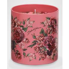 Cotton Scented Candles Dolce & Gabbana Rosa Moschata Scented Candle