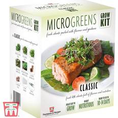 Propagators Thompson & Morgan Microgreens Classic Seed Grow Kit