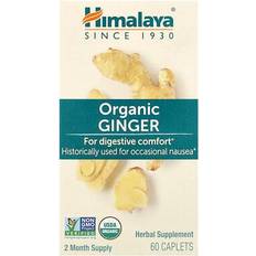 Ginger Gut Health Organic Ginger Himalaya 60 Caplets