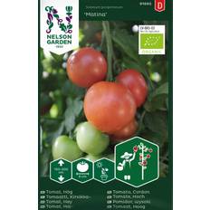 Tomater Grönsaksfröer Nelson Garden Ekologisk Tomat Matina