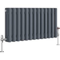 Radiators Reggio Anthracite Horizontal Radiator 300 x 605 mm