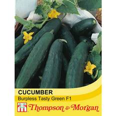 Sunny Seeds Thompson & Morgan Cucumber F1 Burpless Tasty Green 1 Seed Packet 10 Seeds