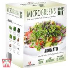 Propagators Thompson & Morgan Seed Grow Kit Microgreens Aromatic