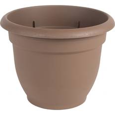 Pots, Plants & Cultivation Bloem Ariana Planter with Self Watering Grid 12"