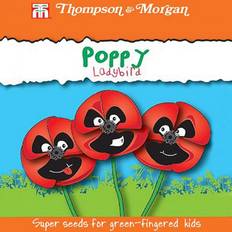 Poppy Ladybird Rhs Kids 1 Packet 150 Seeds