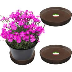 Pots, Plants & Cultivation Peak 2 Peak Little Bear Round Composite Plant Saucer 2-Pack