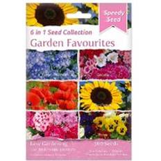 Flower Seeds 6 in 1 Speedy Seed Collection