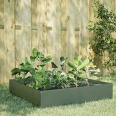 Pots, Plants & Cultivation Berkfield Home Garden Raised Bed 100 x 100 x 33.5 cm Olive Green
