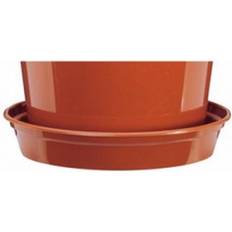 Terracotta Plant Saucers Stewart Plant Saucer 8 in