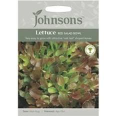 Red Salad Bowl Lettuce Seeds